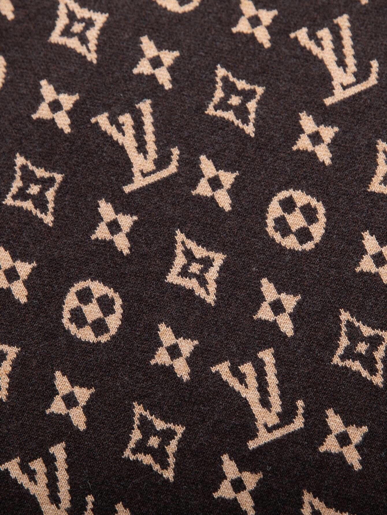 Louis Vuitton Monogram Signature Wool Jumper - Brown - image 5
