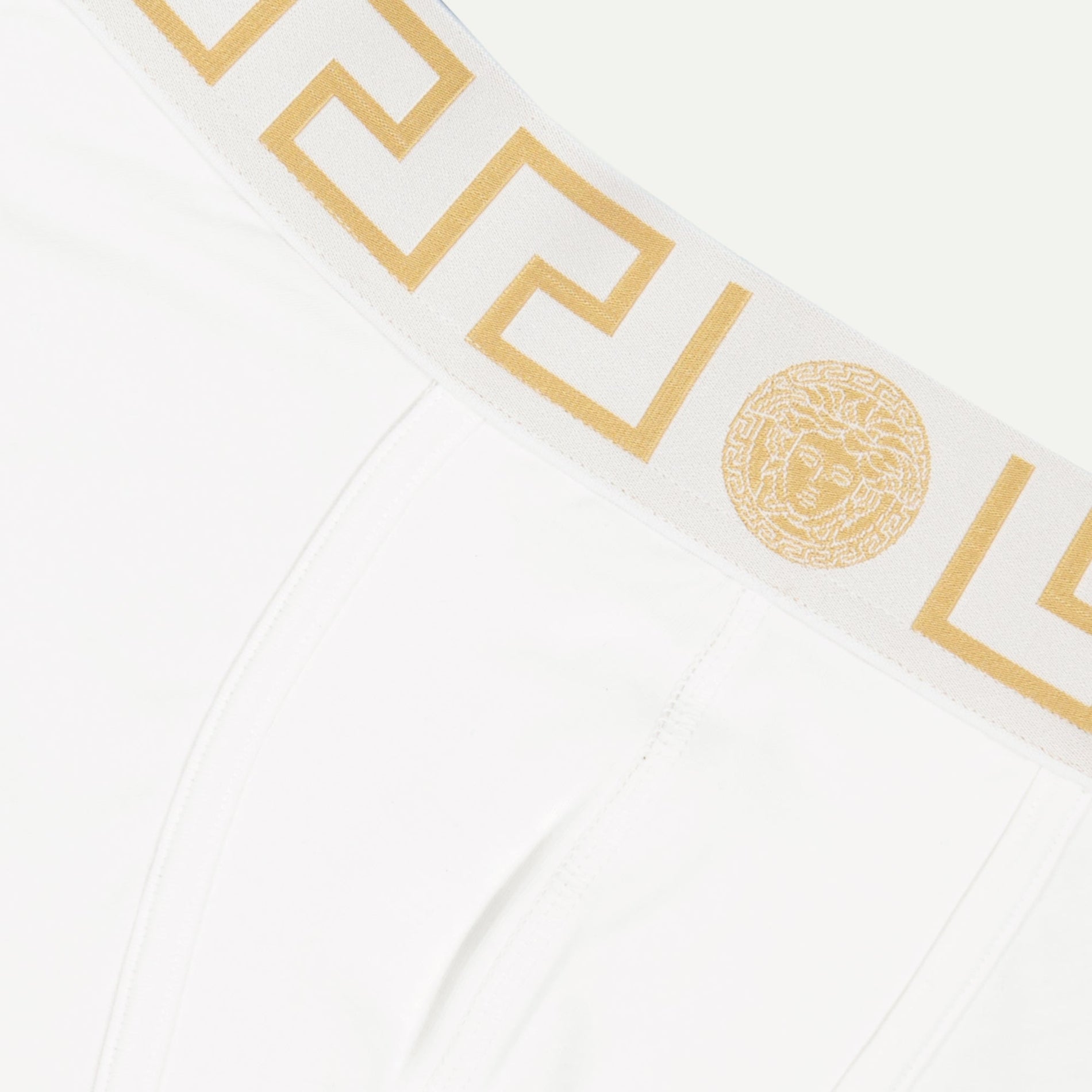 Versace Medusa Greca Shorts - image 3